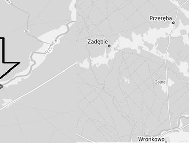 Zdjęcie 15827696