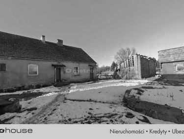Zdjęcie 15827831