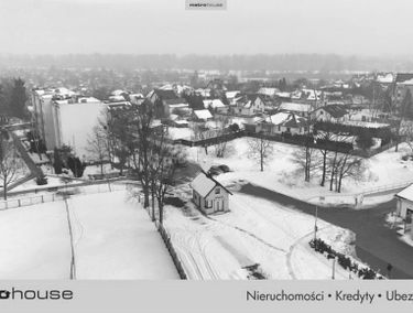 Zdjęcie 15828993