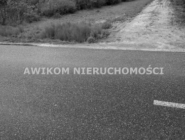 Zdjęcie 15829411