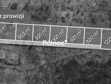 Zdjęcie 15830486