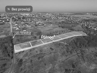 Zdjęcie 15830493