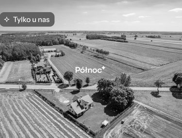 Zdjęcie 15830494