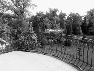 Zdjęcie 15831082