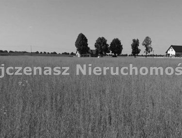 Zdjęcie 15834380