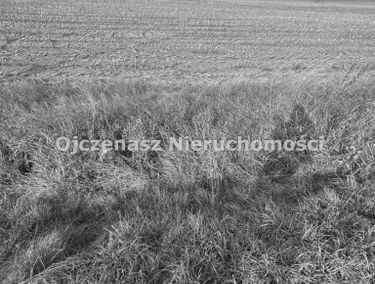Zdjęcie 15838507