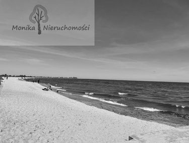 Zdjęcie 15839244