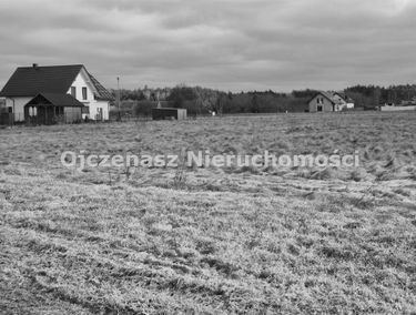 Zdjęcie 15840340