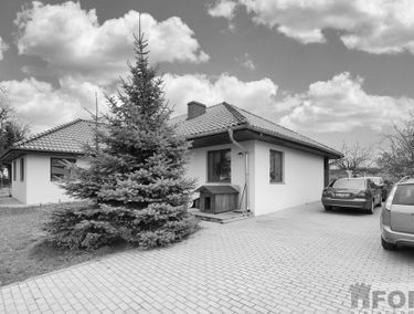 Zdjęcie 15841806