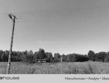 Zdjęcie 15845200