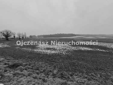 Zdjęcie 15846325