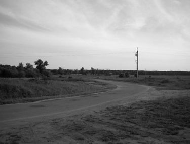 Zdjęcie 15847949