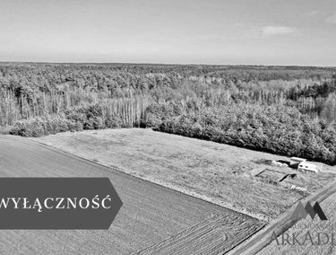 Zdjęcie 15850232