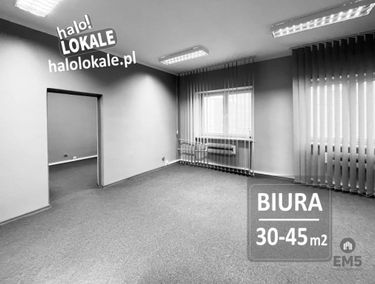 Zdjęcie 15851251