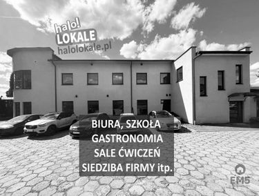 Zdjęcie 15851447