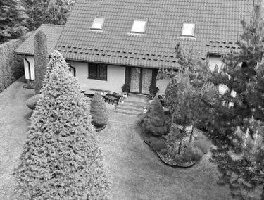 Zdjęcie 15851537