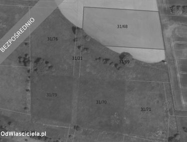 Zdjęcie 15851728