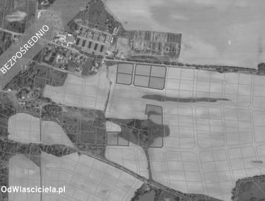 Zdjęcie 15851735