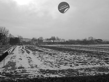 Zdjęcie 15853162