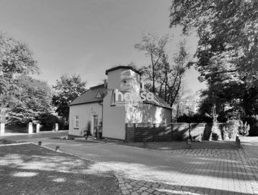 Zdjęcie 15853268