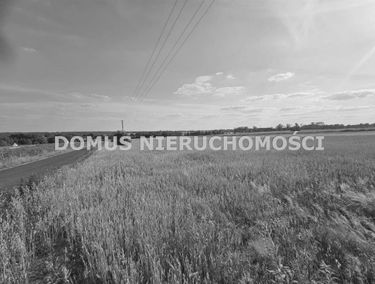 Zdjęcie 15853945