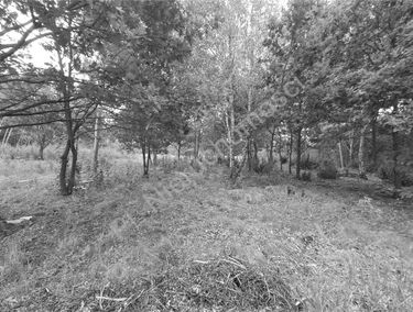 Zdjęcie 15853959