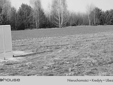 Zdjęcie 15856108