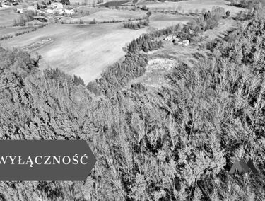 Zdjęcie 15856250
