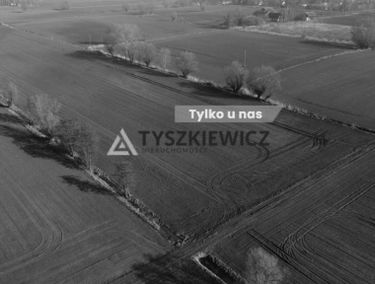 Zdjęcie 15856377