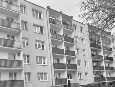 Zdjęcie 15856667