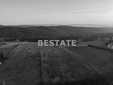 Zdjęcie 15857287