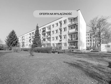 Zdjęcie 15859355