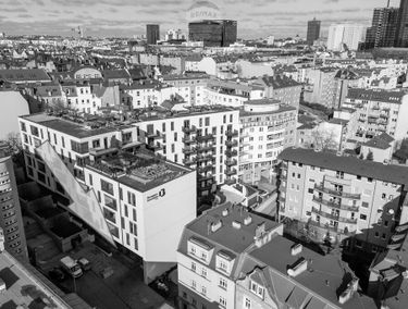 Zdjęcie 15860105