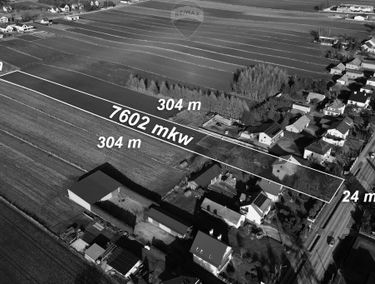 Zdjęcie 15860356