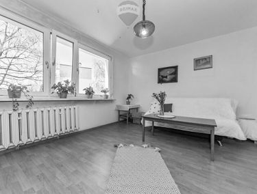 Zdjęcie 15860620