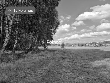 Zdjęcie 15861231