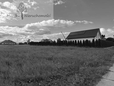 Zdjęcie 15861902