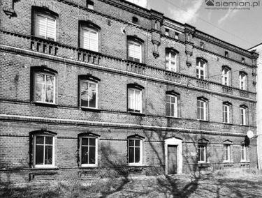 Zdjęcie 15862407