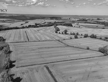 Zdjęcie 15864314