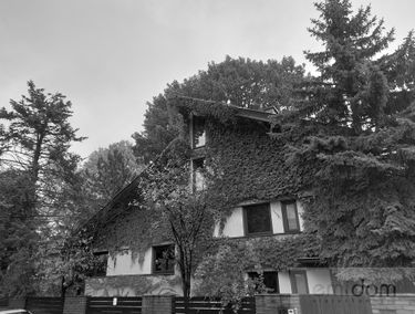 Zdjęcie 15864529