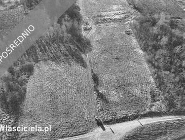 Zdjęcie 15866060