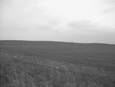 Zdjęcie 15866490