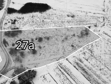 Zdjęcie 15867503