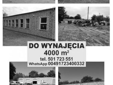Zdjęcie 15868206
