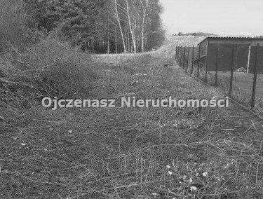 Zdjęcie 15868808