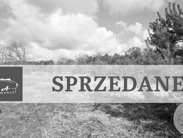 Zdjęcie 15869099