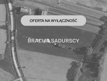 Zdjęcie 15869516