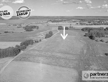 Zdjęcie 15870085