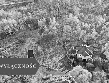 Zdjęcie 15870811