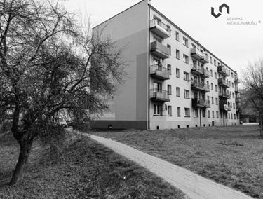 Zdjęcie 15872306